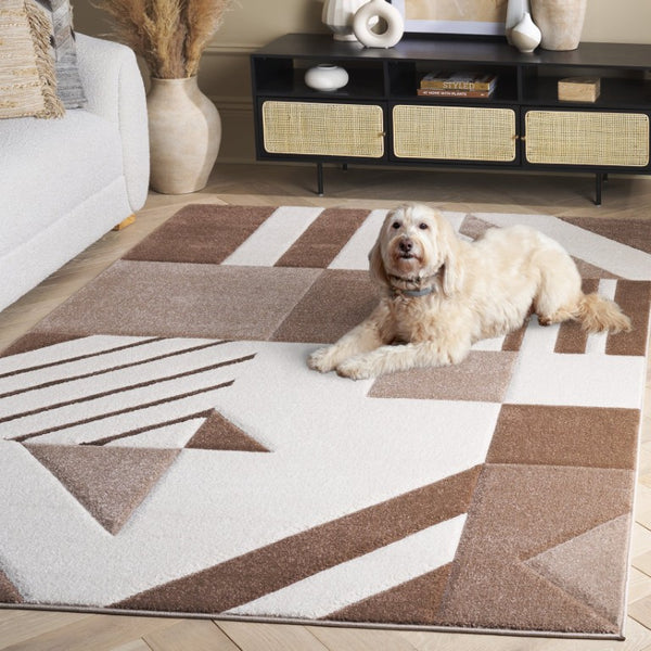Safavieh Hollywood Geometric Area Rug Power-Loomed Polypropylene for Modern Living Spaces HLW709E-6