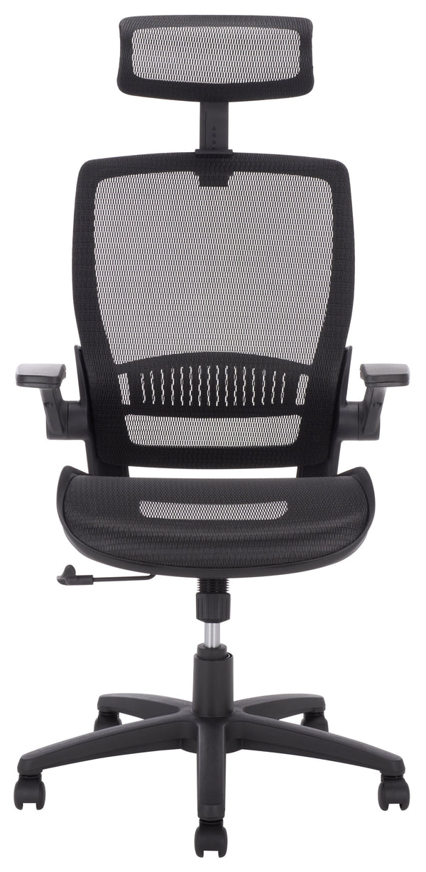 Safavieh Abby Ergonomic Office Chair With Padded Foam Seat Tilt Recline And Lumbar Back Support HO380001