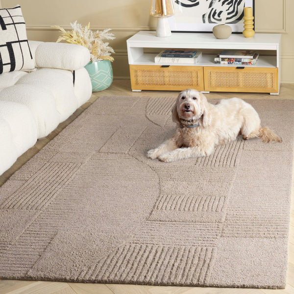 Safavieh Harvest Modern Area Rug - Hand-tufted Polyester With Geometric Design For Stylish Interiors Sage ,Grey Polyester Pile Hvt401w-6