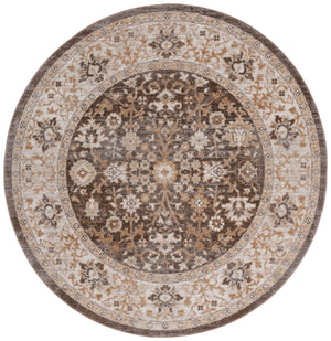 Safavieh Hazel Transitional Area Rug - Elegant Brown And Ivory Design, Durable Power Loomed Turkish Craftsmanship Brown ,Ivory 50% Polyester,50% Polypropylene Hzl502t-6r