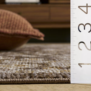 Safavieh Hazel Traditional Accent Rug Brown Ivory Power Loomed Polypropylene Blend for Cozy Rooms HZL510T-3