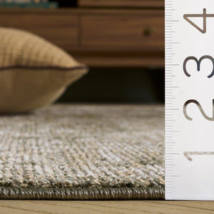 Safavieh Hazel Power Loomed Solid Area Rug Neutral Polyester Blend for Living and Dining Rooms HZL510Y-10