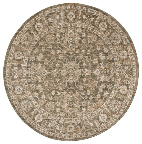 Safavieh Hazel Round Area Rug Traditional Neutral Tones Power Loomed for Living Bedroom HZL510Y-6R