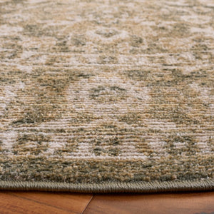Safavieh Hazel Round Area Rug Traditional Neutral Tones Power Loomed for Living Bedroom HZL510Y-6R