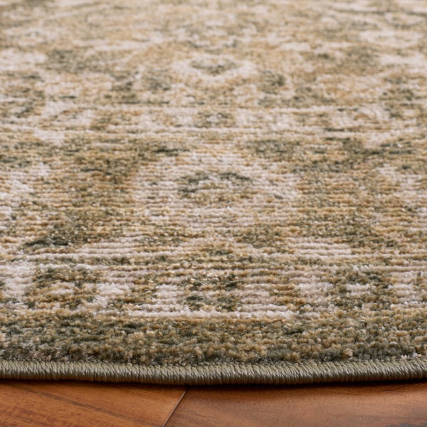 Safavieh Hazel Round Area Rug Traditional Neutral Tones Power Loomed for Living Bedroom HZL510Y-6R