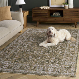 Safavieh Hazel Power Loomed Low Pile Area Rug in Earthy Tones for Living Room or Dining Space HZL510Y-6