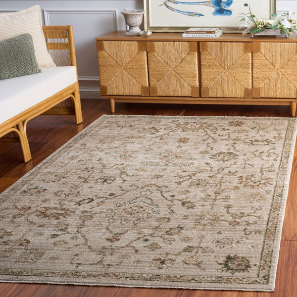 Safavieh Hazel Traditional Ivory Beige Power Loomed Polyester Rug for Living Room or Bedroom HZL512A-6