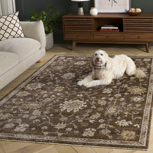 Safavieh Hazel Power Loomed Polypropylene Area Rug Neutral Tones for Living and Dining Rooms HZL512T-5