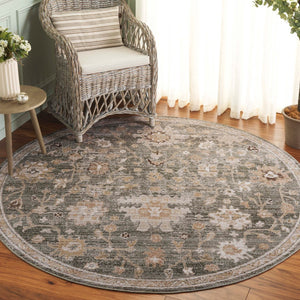 Safavieh Hazel Stunning Transitional Area Rug - Soft, Durable Design For A Stylish Living Space Upgrade Green ,Beige 50% Polyester,50% Polypropylene Hzl512y-9