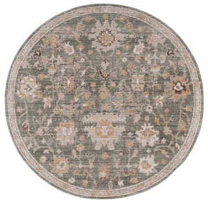 Safavieh Hazel Transitional Area Rug - Elegant Medium Rectangle Design For Contemporary Home Décor Delight Green ,Beige 50% Polyester,50% Polypropylene Hzl512y-6r