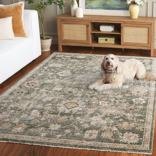 Safavieh Hazel Turkish Power Loomed Area Rug Soft Green Beige Blend for Living Dining Rooms HZL512Y-6