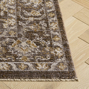 Safavieh Hazel Power Loomed Traditional Area Rug in Warm Neutral Tones for Living Dining Rooms HZL514T-10