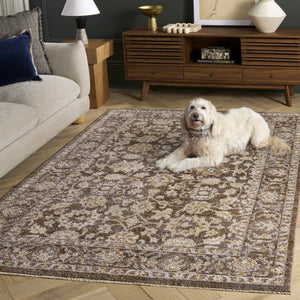 Safavieh Hazel Traditional Area Rug Poly Blend Neutral Tones for Living and Dining Rooms HZL514T-5