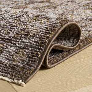 Safavieh Hazel Traditional Power-Loomed Area Rug Warm Neutral Tones for Living Room Decor HZL514T-6