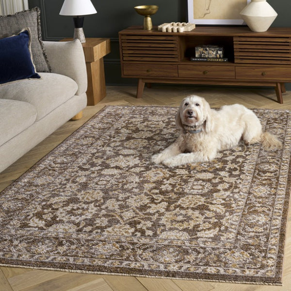 Safavieh Hazel Traditional Power-Loomed Area Rug Warm Neutral Tones for Living Room Decor HZL514T-6
