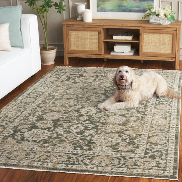 Safavieh Hazel Traditional Area Rug Turkey Woven Polyester Blend Living Room Accent HZL514Y-6