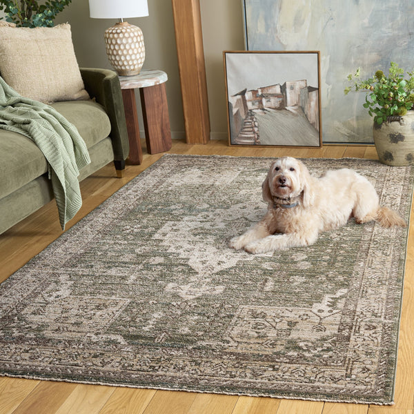 Safavieh Hazel Round Turkish Area Rug In Green Beige Traditional Motif, Low-Pile Power-Loomed, Durable Elegance 6'-0" x 6'-0" HZL518Y-6R