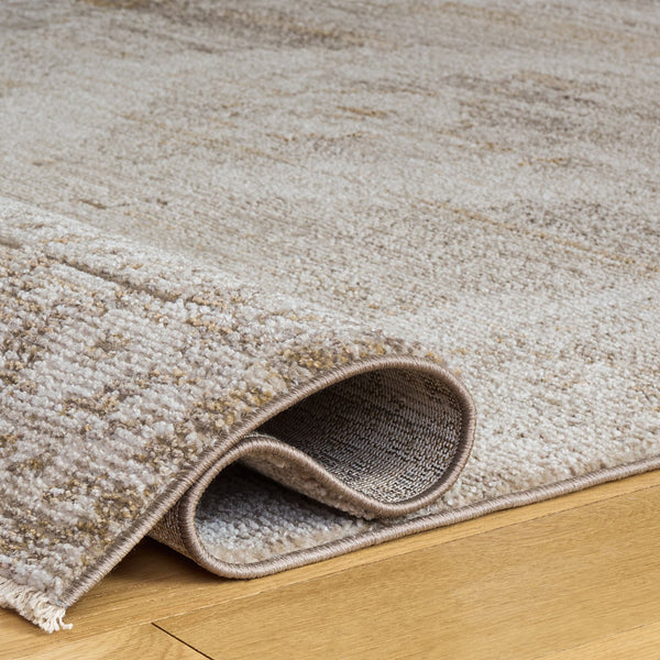 Safavieh Hazel Vintage-Inspired Beige & Ivory Area Rug — Durable Low-Pile Power-Loomed Turkey Weave Elegance 5'-3" x 7'-6" HZL520B-5376