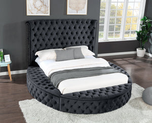 English Elm HAZEL Queen Size Tufted Velvet Upholstered Storage Bed with Nailhead Trim, Solid Wood, Dual USB 733569372270