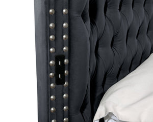 English Elm HAZEL Queen Size Tufted Velvet Upholstered Storage Bed with Nailhead Trim, Solid Wood, Dual USB 733569372270
