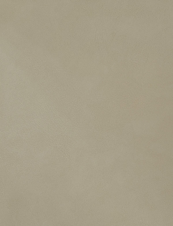 Hudson Beige Vegan Leather Twin Trundle Bed HudsonBeige-T Meridian Furniture