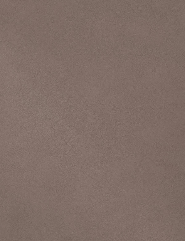 Hudson Brown Vegan Leather Twin Trundle Bed HudsonBrown-T Meridian Furniture