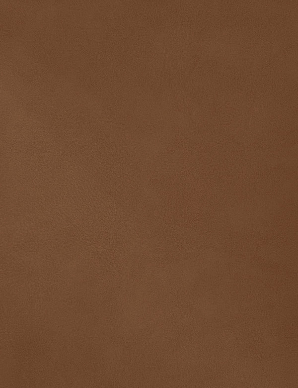 Hudson Cognac Vegan Leather Twin Trundle Bed HudsonCognac-T Meridian Furniture