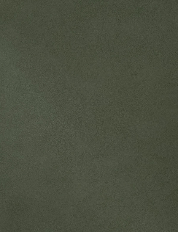 Hudson Green Vegan Leather Twin Trundle Bed HudsonGreen-T Meridian Furniture