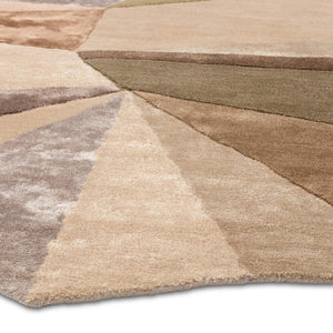 Jaipur Living Jaipur Living Sabha Wool Viscose Abstract Geometric Rug Artisan Tufted Accent RSW104721