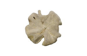 Phillips Collection Teak Wood Coffee Table – Bleached Round Design For Modern Farmhouse & Industrial Chic Interiors Off White Wood ,Teak Id111480