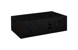Phillips Collection Teak Slice Mosaic Rectangular Coffee Table Reclaimed Wood Black Low Profile ID112146