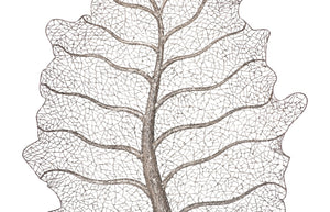 Phillips Collection Metallurgy Leaf Wall Art - Stunning Stainless Steel Decor With Unique Texture & Elegant Design Silver Metal ,Stainless Steel Id113684