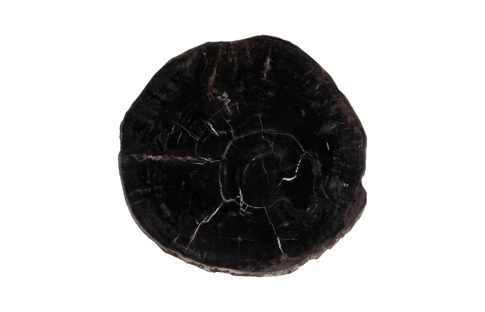 Phillips Collection Petrified Wood Coffee Table - Unique Round Slab with Black Metal Base for Modern Living Spaces ID114670