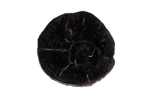 Phillips Collection Petrified Wood Coffee Table - Unique Fossilized Art Piece From Indonesia For Stunning Home Decor Black,Brown Petrified Wood Id114670