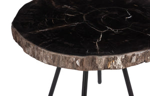 Phillips Collection Petrified Wood Coffee Table - Unique Fossilized Art Piece From Indonesia For Stunning Home Decor Black,Brown Petrified Wood Id114670
