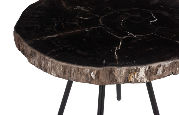 Phillips Collection Petrified Wood Coffee Table - Unique Fossilized Art Piece From Indonesia For Stunning Home Decor Black,Brown Petrified Wood Id114670