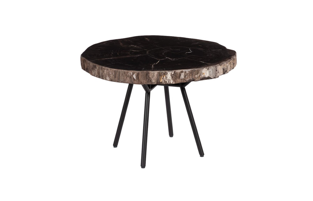 Phillips Collection Petrified Wood Coffee Table - Unique Round Slab with Black Metal Base for Modern Living Spaces ID114670
