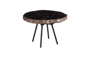 Phillips Collection Petrified Wood Coffee Table - Unique Fossilized Art Piece From Indonesia For Stunning Home Decor Black,Brown Petrified Wood Id114670