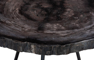 Phillips Collection Petrified Wood Coffee Table - Unique Fossilized Art Piece From Indonesia For Stunning Home Decor Black,Gray Petrified Wood Id114671