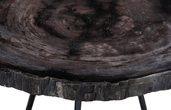 Phillips Collection Petrified Wood Coffee Table - Unique Fossilized Art Piece From Indonesia For Stunning Home Decor Black,Gray Petrified Wood Id114671
