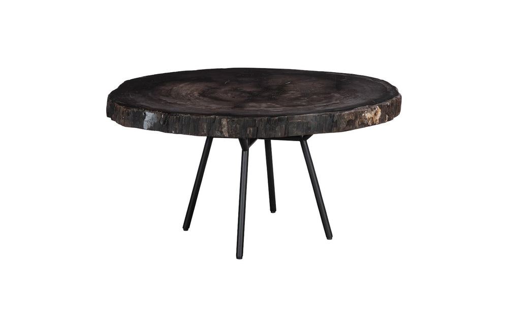 Phillips Collection Petrified Wood Coffee Table - Unique Fossilized Art Piece From Indonesia For Stunning Home Decor Black,Gray Petrified Wood Id114671