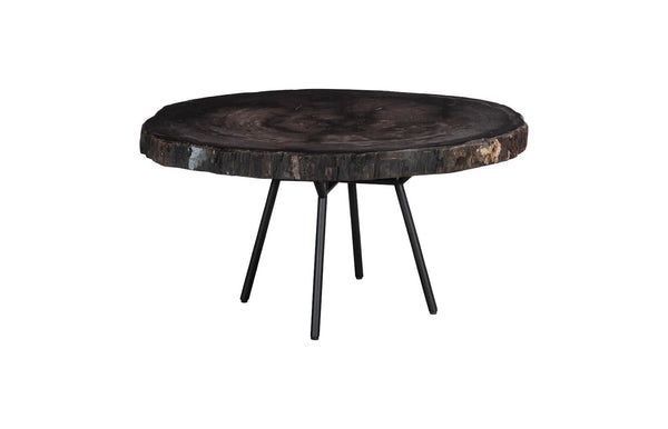 Phillips Collection Petrified Wood Coffee Table - Unique Fossilized Art Piece From Indonesia For Stunning Home Decor Black,Gray Petrified Wood Id114671