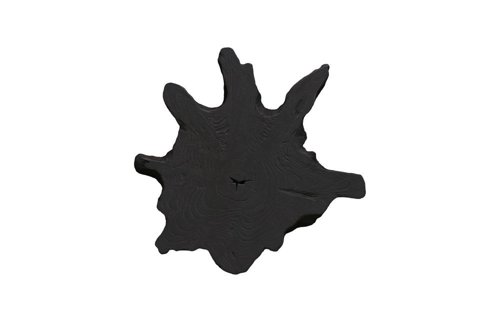 Phillips Collection Freeform Teak Wall Slice Art - Unique Natural Wood Decor For Statement & Gallery Walls, Handmade Black Wood ,Teak Id114684