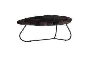 Phillips Collection Mosaic Leaf Petrified Wood Coffee Table With Gold Inlay - Unique Home Decor For Elegant Spaces Black,Gold Petrified Wood Id116041