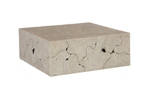 Phillips Collection Teak Slice Coffee Table - Handcrafted Reclaimed Wood with Modern Stainless Steel Base for Elegance Square, Oat Finish ID119790