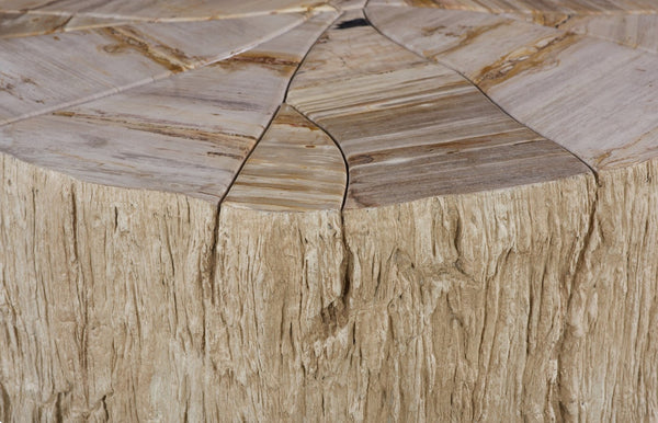 Phillips Collection Converge Petrified Coffee Table - Unique Cream Stone Design for Modern Living Room Elegance ID119992