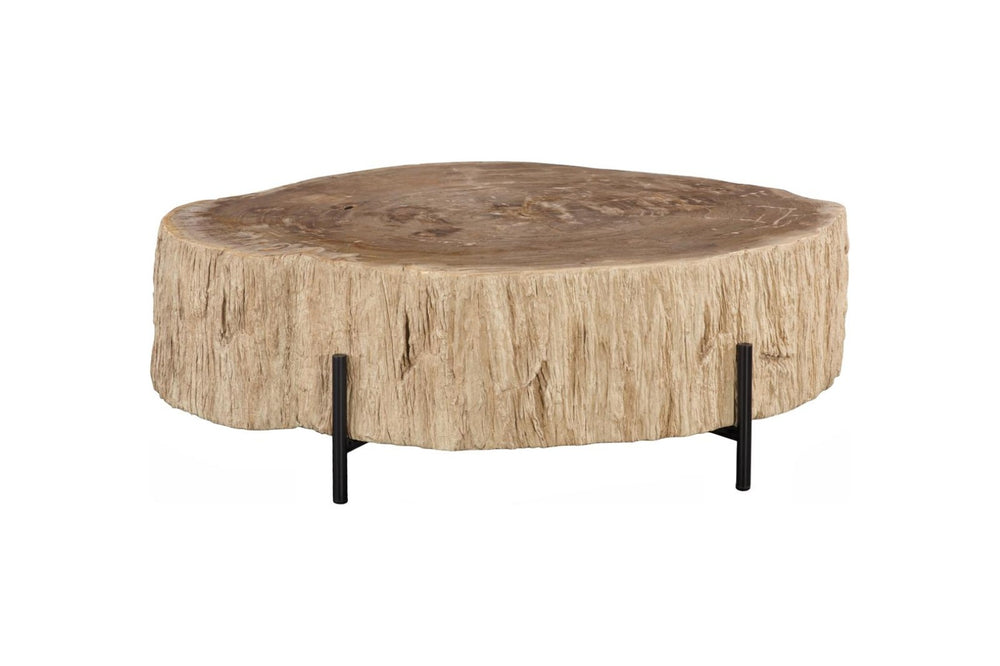 Phillips Collection Chaka Petrified Wood Coffee Table Genuine Stone Grain Top with Black Metal Legs ID119993