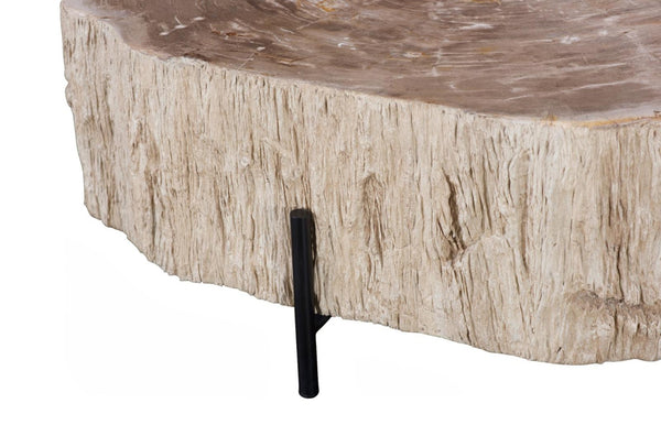 Phillips Collection Chaka Petrified Wood Coffee Table Genuine Stone Grain Top with Black Metal Legs ID119993