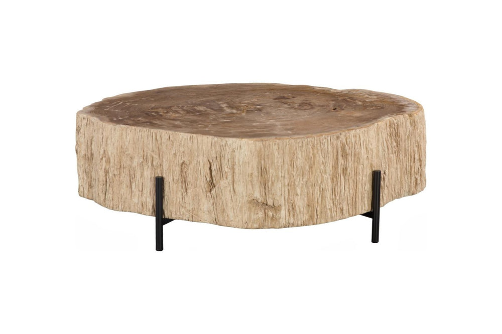 Phillips Collection Chaka Petrified Wood Coffee Table Genuine Stone Grain Top with Black Metal Legs ID119993