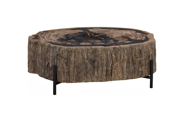 Phillips Collection Chaka Genuine Petrified Wood Coffee Table with Black Metal Legs for Modern Living ID119994